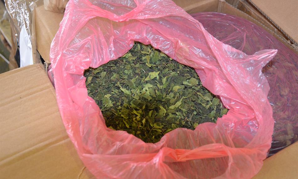 2016-9-30-1252foto 3.jpg